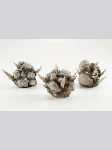 ��EFFECT EXPLOSION Gray Ver. for S.H.Figuarts�@�h���ς݊����i�kBANDAI SPIRITS�l�i260202�\��J�n�j
