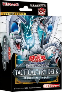 VYOCG fGX^[Y TACTICAL-TRY DECK ITCo[EhS