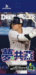 v싅J[hQ[ DREAM ORDER cu[X^[@NgX[Yűv12pbNBOX