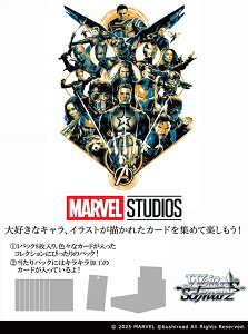 yz@CXV@c u[X^[pbN@MARVEL Vol.3 [MARVEL STUDIOS] 12pbNBOX