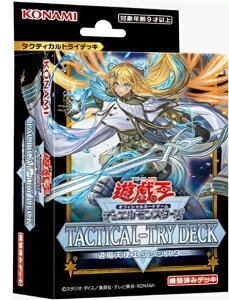 VY fGX^[Y TACTICAL-TRY DECK ޖVgGN\VX^[
