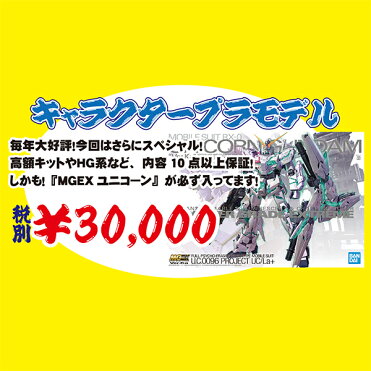 12月28日発送予定 年末 超お買い得 キャラクタープラモデル福袋 Room 欲しい に出会える