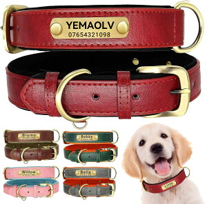 yOz   qD p I[_[Ch v [U[  킢 ^ ^ qh~ ̎ Vv 􂢉\