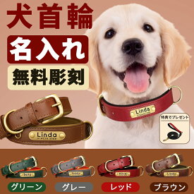 【お名前無料彫刻】犬 首輪 名入れ 迷子札 犬用 オーダーメイド 革製 レーザー彫刻 おしゃれ かわいい 小型犬 中型犬 迷子防止 犬の首輪 シンプル 手洗い可能