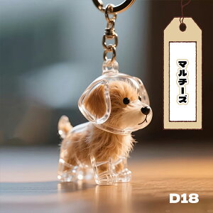 y2ZbgzybgуP[X pApi A{g ѕۑ{g  L[z_[  ѓ ybg уObY ybgAObY ѕۊ  vo 