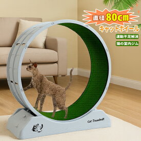 キャットホイール 回転ホイール 直径80cm 大型 静音仕様 室内運動不足解消 犬 猫用ランニングホイール 猫 運動器具 猫用遊具 ストレス解消 室内ジム おしゃれ