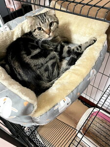 yʎgpzybgP[W }bg L NbV O }bg P[Wp nbN H~ ~ 􂦂 ΍ g  ӂӂ  킢  Q \ 