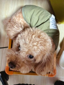   H ~ xXg g n[lXt ₷ ybg ~p EFA ̕ OJ ybgxXg n    ӂӂ h  Ȃ EȒP {^ ^ 