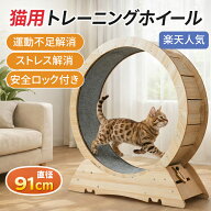キャットホイール 猫 ランニングマシーン 直径91cm 静音 木製 安全ロック付き 猫用 回し車 ルームランナ…