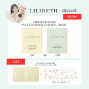 19号発売記念SALE【11/4 20時販売開始★20％OFF★@jzzzzkさん×LILIBETHコラボ限定セット】【楽天メイクアップランキ…
