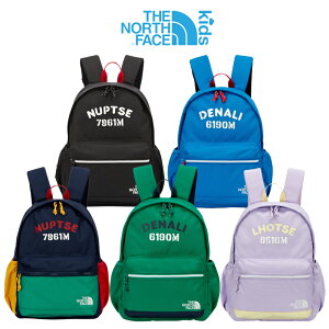 THE NORTH FACE KIDS PICNIC PACK Um[XtFCX LbY q bN ΂  sNjbN ̎q j̎q Y fB[X w ct  R[f