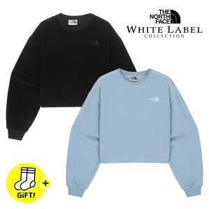 yC Mtgz THE NORTH FACE W'S VELOUR SWEATSHIRTS Um[XtFCX WHITE LABEL zCg[x ؍Ki g[i[ XEFbgVc Nbvh fB[X N[lbN H ~ NM5MQ