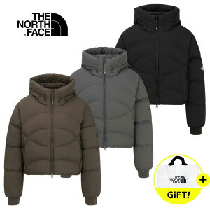 _GRobO Mtg/  THE NORTH FACE W'S SPORTS HYBRID DOWN JACKET Um[XtFCX ؍Ki _EWPbg BLACK GRAY BROWN NJ1DR82