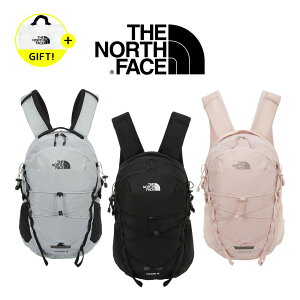 ������������ �m�[�X�t�F�C�X �����b�N THE NORTH FACE ASCEND LT 15 �؍��m�[�X�t�F�C�X �o�b�N�p�b�N 15L �o�R �g���b�L���O �y�� �ʋC�� ���C���J�o�[ �A�E�g�h�A �j�����p NM2TS15A NM2TS15C �y�؍���