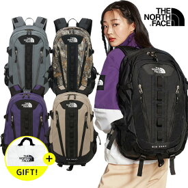 ★送料無料★ ノースフェイス リュック THE NORTH FACE BIG SHOT 30l バッグ 大容量 大型 学生 通学 通勤 メンズ レディース 大人 おしゃれ かわいい カジュアル マザーズバッグ ママバッグ NM2DR00 NM2DQ50 【韓国正規品/関税込/エコバッグ ギフト】