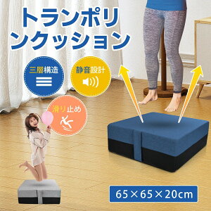 �g�����|���� �N�b�V�����y65x65cm�z��^ ������ �����p ���ǂ��p ��l�p �É�����p �ƒ�p �~�j�g�����|���� �G�N�T�T�C�Y �g���[�j���O ����~�߉��H