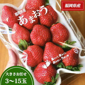 選べる容量 形いろいろ 完熟あまおう いちご イチゴ 苺 あまおう いちご通販 いちごあまおう あまおう苺 大粒いちご 大粒イチゴ 農家 直送 果物 フルーツ 福岡 高級 甘い お取り寄せ 自宅用 家庭用 まとめ買い 大容量 不揃い 完熟いちご 美味しいいちご 甘いいちご