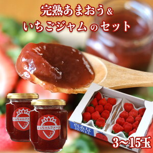 n܂W̃Zbg  W ܂ _  ʕ t[c C`S W C`SW 䕃W  pbN  Â lߍ킹  