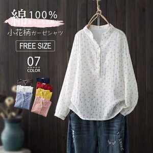 K[[ Vc TVc uEX fB[X K[[Vc ȃVc ԕ  gbvX    LC VGbg tH[} GKg _炩 _uK[[ JWA