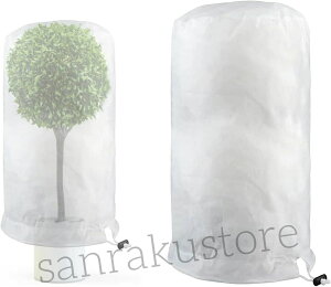 sDz hlbg hlbg AhJo[ AیJo[