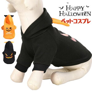 RX    RX`[ nEB  hbOEFA