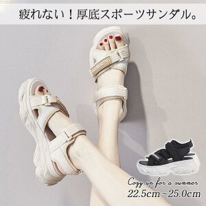 ɂ r ăT_ T_ s X|[cT_ y  l o AEghA K ₷ 킢 t fB[X