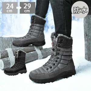 EB^[u[ 2023V Xm[u[c Ȃ Y Y