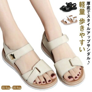 ₷ 3.5cmq[ EGbW\ [q[ EGbW\[