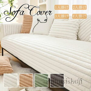 ӂӂ ~  \t@[Jo[ Zp[g  邾