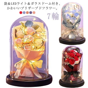 �K���X�h�[�� �\�[�v�t�����[ �v���U�[�u�h�t�����[ �v���[���g