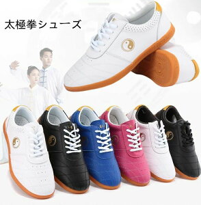  Xj[J[ = ɌV[Y Y pV[fB[X