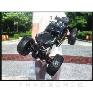 1/8 RCJ[ 4WD WRJ[ It[h 50CM SҌ RJ[ v[g Mtg  d Ԃ R c₷ a q 蕨