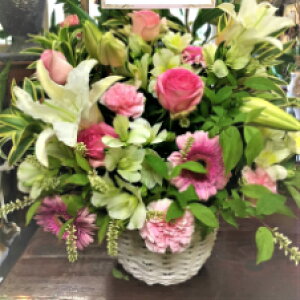 K[xEEoEAWg a LO v[g bsO bZ[WJ[h zBw zB  |Cg5{