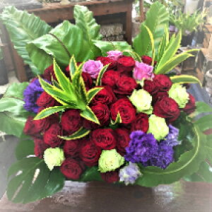 oEgRLLEEO[EAWg a LO v[g bsO bZ[WJ[h zBw zB  |Cg5{