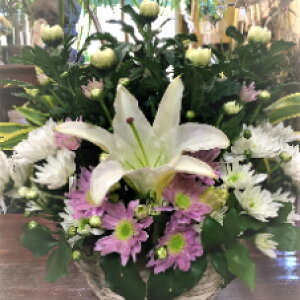 eEEO[EAWg bsO bZ[WJ[h zBw zB  |Cg5{