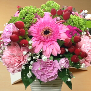 yN̊ӂ𑡂ԁ[Mother's day select E߂5Iz̓ v[g J[lVEK[xEJX~\EEG߂̉ AWg a LO MtgbsO bZ[WJ[h