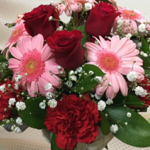 yN̊ӂ𑡂ԁ[Mother's day select E߂5Iz̓ v[g J[l[VEoEK[xEJX~\E AWg a LO MtgbsO bZ[WJ[h 