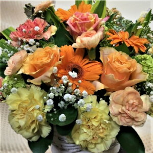 yN̊ӂ𑡂ԁ[Mother's day select E߂5Iz̓ v[g J[l[VEoEK[xEJX~\E AWg a LO MtgbsO bZ[WJ[h 