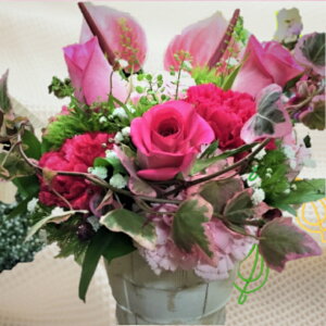 yN̊ӂ𑡂ԁ[Mother's day select E߂5Iz̓ v[g J[l[VEoEJX~\EEAX[ AWg a LO MtgbsO bZ[WJ