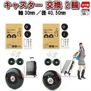 LX^[  2 L30-D40/50 L[obO X[cP[X LX^[  Lbg dS^Cgp É  y Rrj