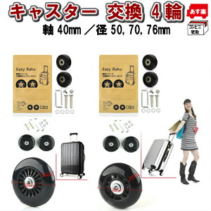 LX^[  4 L40-D50/70/76 L[obO X[cP[X LX^[  Lbg dS^Cgp É  y Rrj