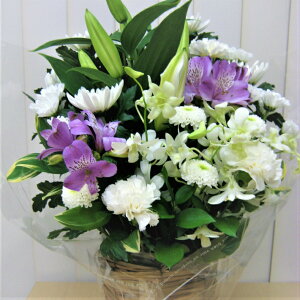 eEEAXgEAWg bsO bZ[WJ[h zBw zB 