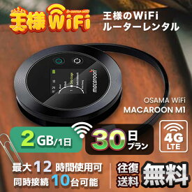 wifi レンタル 2GB 毎日 30日 無制限 高速回線 往復送料無料 Pocket WiFi レンタルwifi ルーター wi-fi 中継器 wifiレンタル ポケットWiFi ポケットWi-Fi 国内 LTE 出張 旅行 入院 一時帰国 テレワーク 在宅 勤務 引越し Macaroon-M1