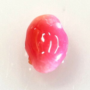 �R���N�p�[���@0.23ct�@���[�X�@conch pearl