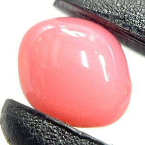 �R���N�p�[���@0.86ct�@�\�[�e�B���O�t���@���[�X�@conch pearl