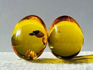 ߁@^@2Zbg@v63.89ct@[X