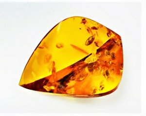 ߁@t[VFCv@62.95ct@[X