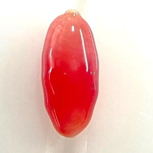 �R���N�p�[���@0.27ct�@�\�[�e�B���O�t���@���[�X�@conch pearl