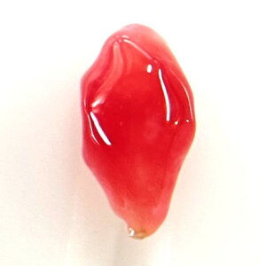 �R���N�p�[���@0.26ct�@�\�[�e�B���O�t���@���[�X�@conch pearl