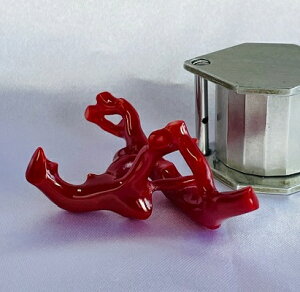 枝サンゴ  ルース ( 珊瑚 さんご 血赤 血赤珊瑚 枝状 )